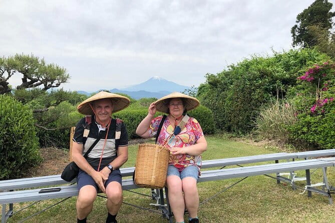 Step- Free Easy Going Tour From Shimizu Port / Sedan Taxi