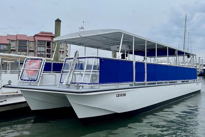 Sunrise Dolphin Tour - Key Points