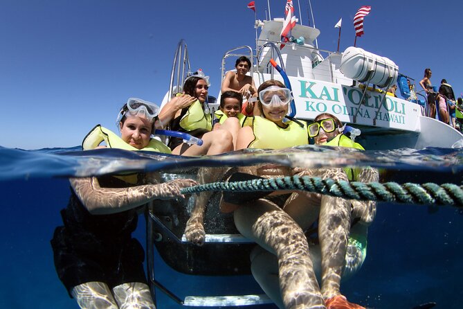 Sunset Dolphin Watch and Snorkeling Cruise Review - About Your Stay