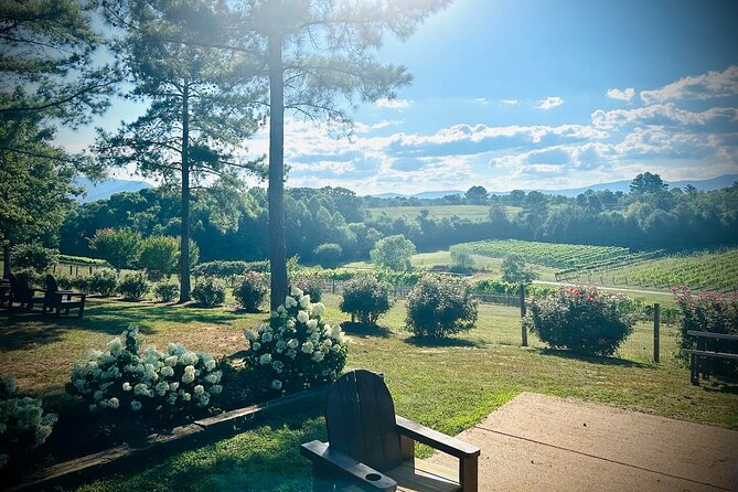 Three Vineyards Half Day Private Wine Tour Review - About Your Stay