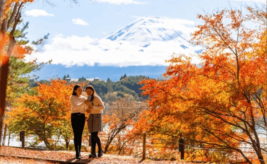 Tokyo: Mt. Fuji and Hakone Tour With English Speaking Driver - Tour Overview