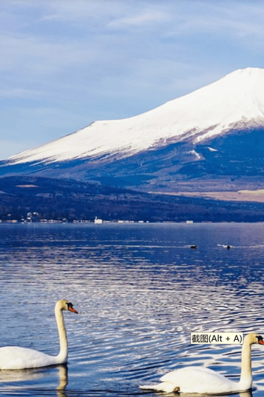 Tokyo: Mt Fuji, Hakone, Cruise, Ropeway & Oshino Hakkai Tour