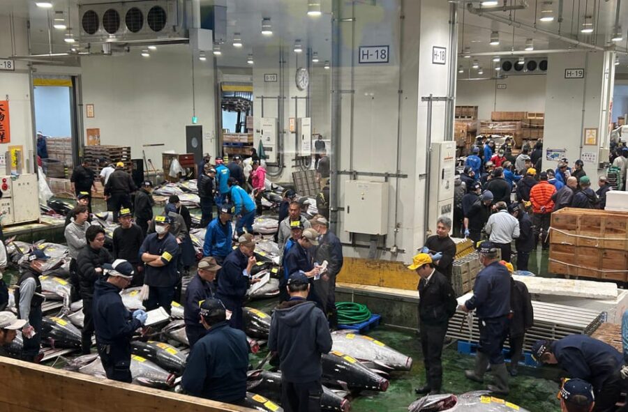 Tokyo: Toyosu & Tsukiji Market Adventure With Tuna Auction