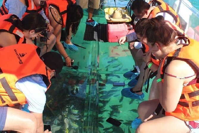 Tour the Arch, Lands End and More in Cabos Original Clear Boat