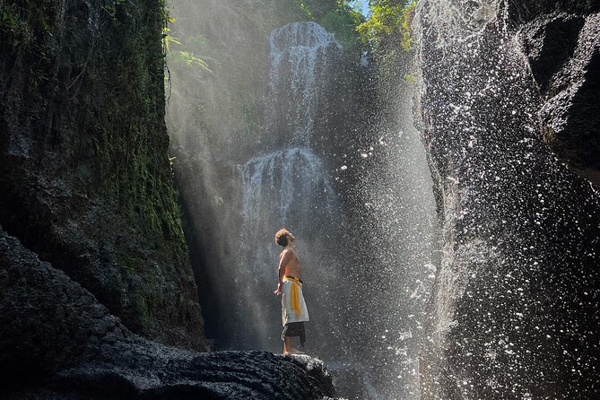 Ubud: Purification at the Temple, Waterfalls, Tegallalang Rice Fields