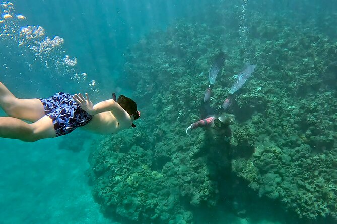 Unlimited Guided Snorkeling Tour Review - About Your Stay