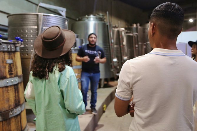 Valle De Guadalupe Get Away