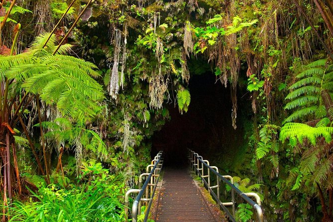 Volcano Island Tour in Spanish Review - About Your Stay