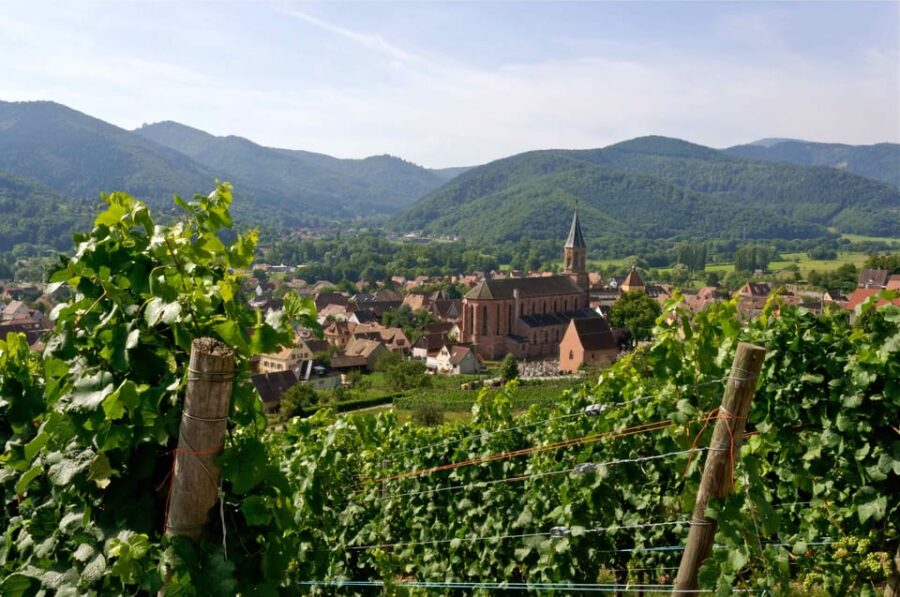 Wihr-au-Val: Wine Tasting and Cellar Tour