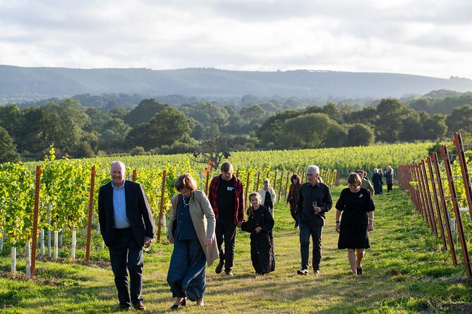 Wine Tasting Tour in Sussex by Bike or Car! (Self-Guided)