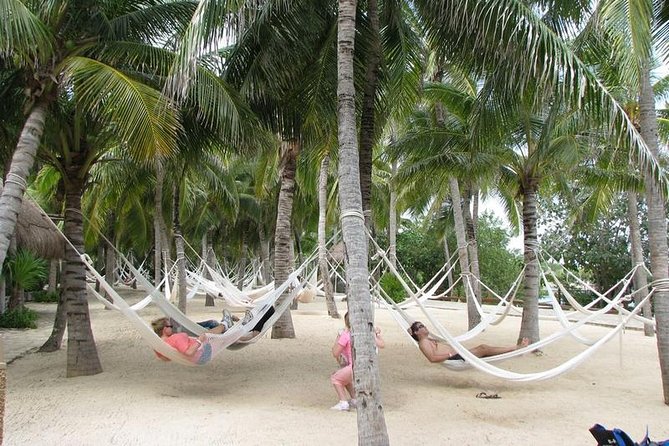 Xel Ha Park Tour All Inclusive! Nature & Fun From Cancun & Playa Del Carmen