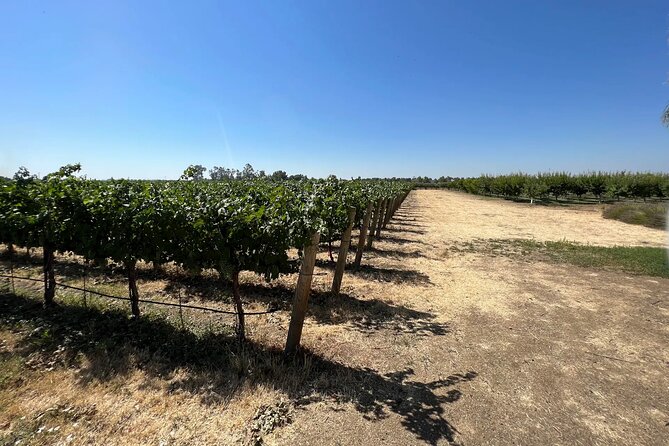 Yolo County Explorer: Culinary & Cultural Tour Review - About Your Stay