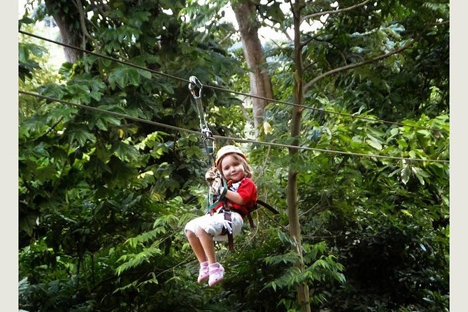 Zip Line - Half Day Trip - Safety Precautions and Requirements