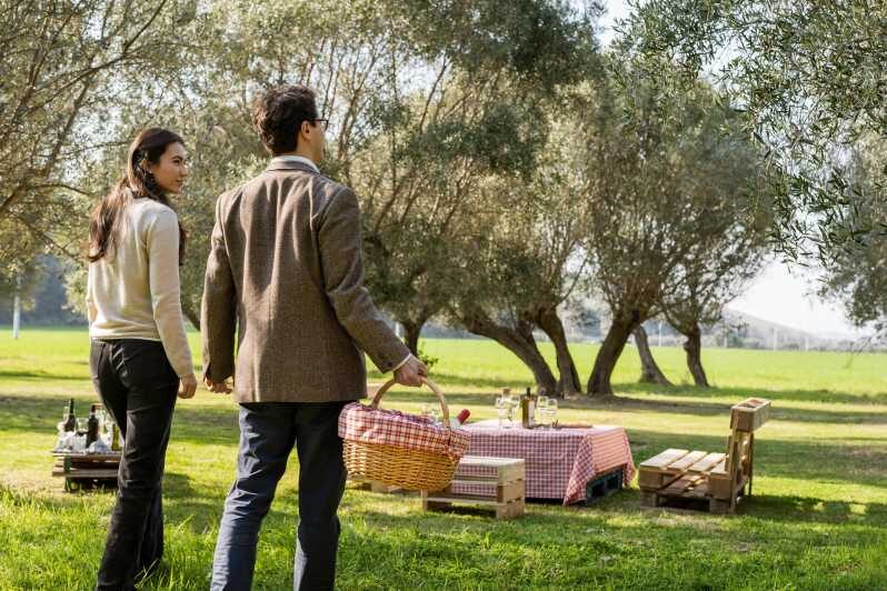 Abruzzo: Country Picnic in an Olive Grove at a Winery - Whats Included in Your Picnic Basket