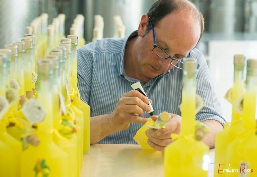 Amalfi: Vertical Lemon Farm Tour, Tastings, and Rural Museum - Experience Highlights