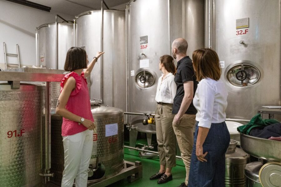 Bardolino: Lake Garda Oil Mill Tour With Olive Oil Tasting - What to Expect During the Tour