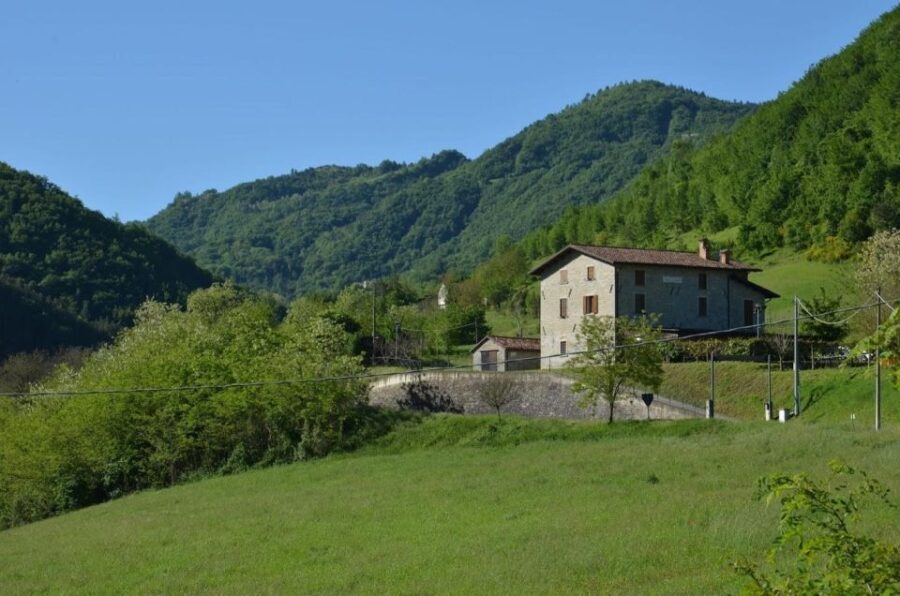 Bologna Forlì: Foraging, Looking for Wild Edible Herbs - Itinerary Details