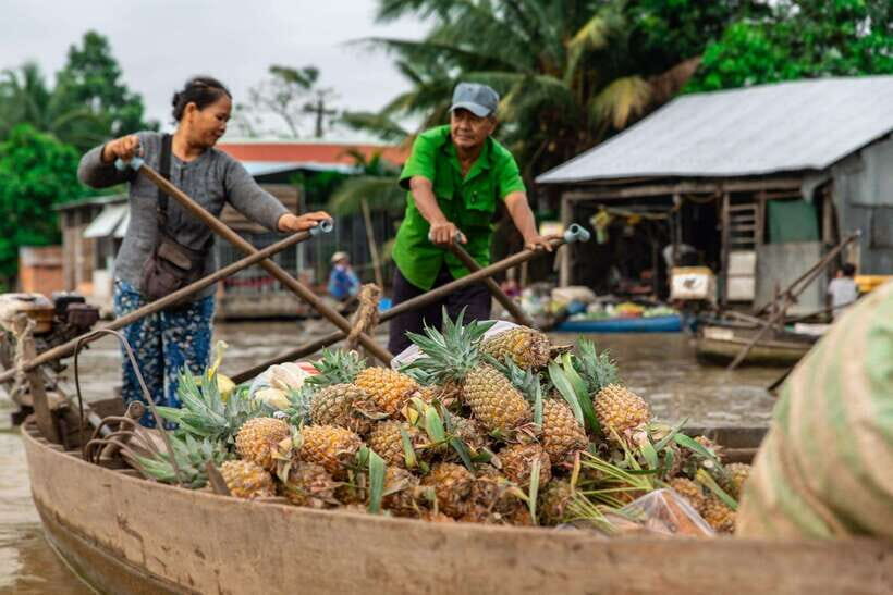 Cai Rang Famous Floating Market in Can Tho - Private Tour - Itinerary Highlights