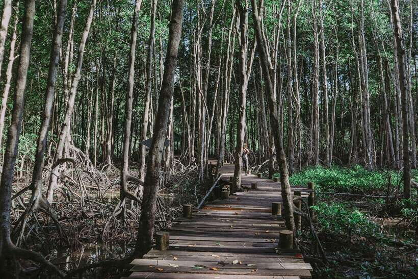 Can Gio Mangroves, Thanh An Island Private Tour By Motorbike - Itinerary Highlights