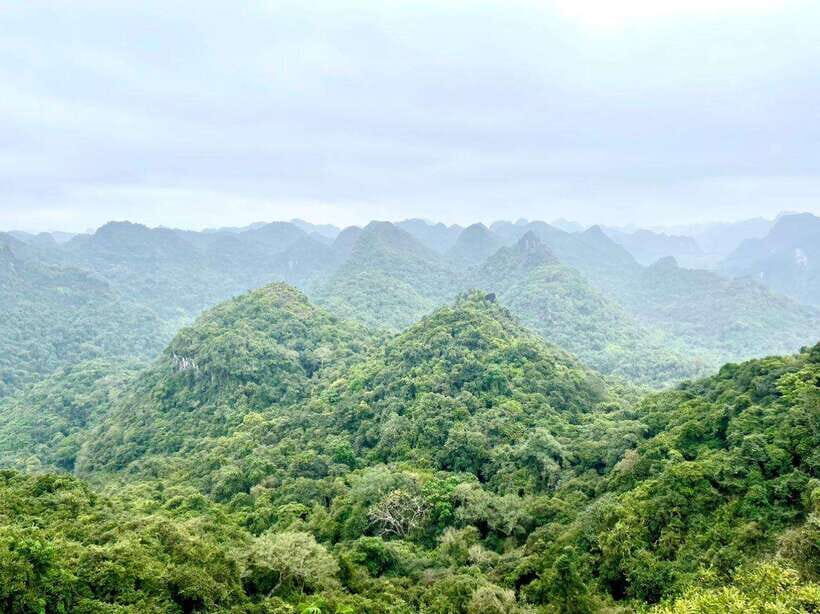 Cat Ba 2 Days Trip: Luxury Cruise, National Park & Beach - Itinerary Highlights