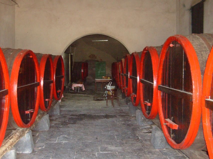 Catania: Pozzo Di Gaspare Farm Guided Tour With Tastings - History and Significance of the Farm