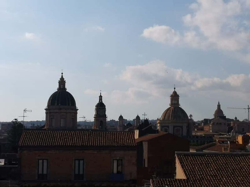 Catania: the Heart of the City - Guided Tour in French - Exploring the Catania Fish Market