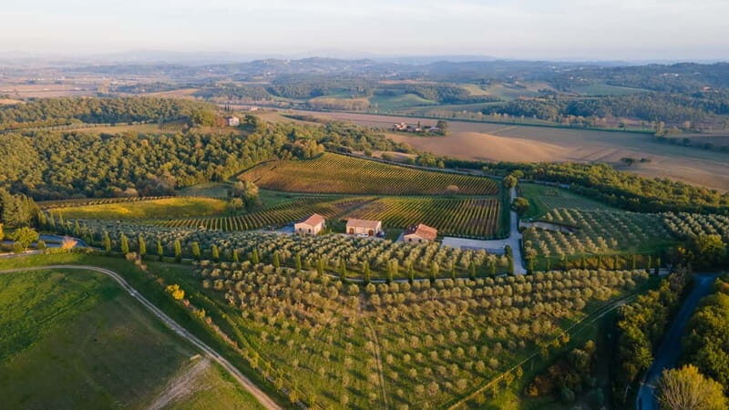 Chianciano Terme: Private Guided Winery Tour & Wine Tasting - Explore Poggio Del Moro Winery