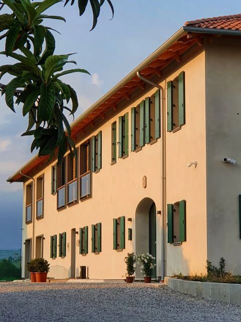 Conegliano: Prosecco Hills and Vineyards Tour - Tasting Experience: A Journey Through Flavors