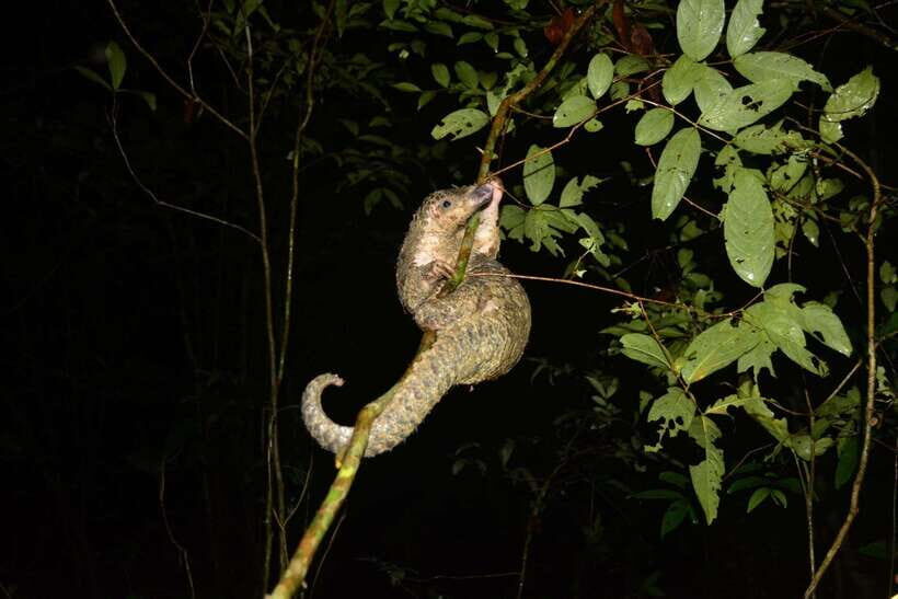 Cuc Phuong National Park 2 Day Private Tour - Female Guide - Itinerary Highlights