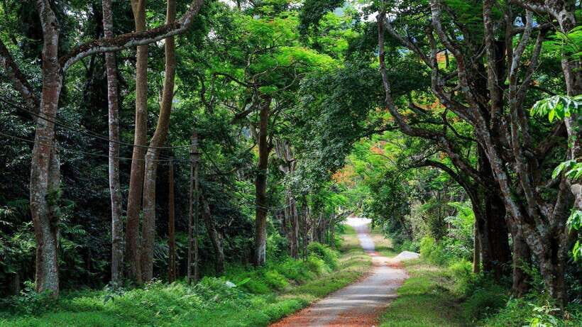 Cuc Phuong National Park Private Tour From Hanoi Old Quarter - Itinerary Highlights
