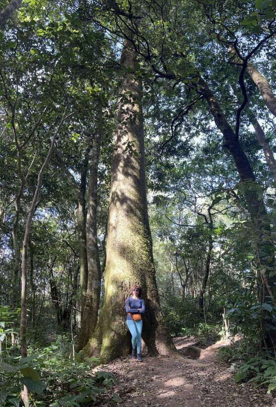 Da Lat: Langbiang Peak Trekking Tour With Camping & Karaoke - Itinerary Details