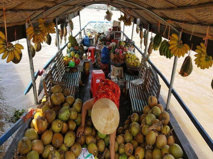 DISCOVER MEKONG DELTA TWO DAYS ONE NIGHT (CAI BE – CAN THO) - Itinerary Summary