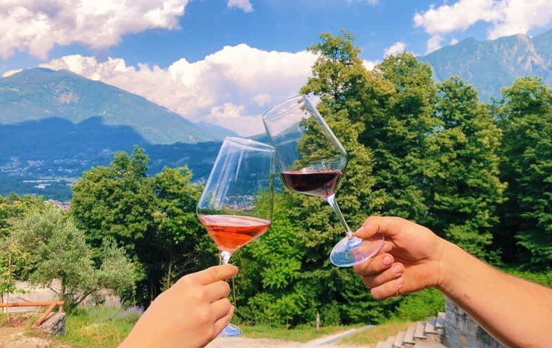 Domodossola: Savor Wines & Local Treats in a Scenic Vineyard - Tasting Details