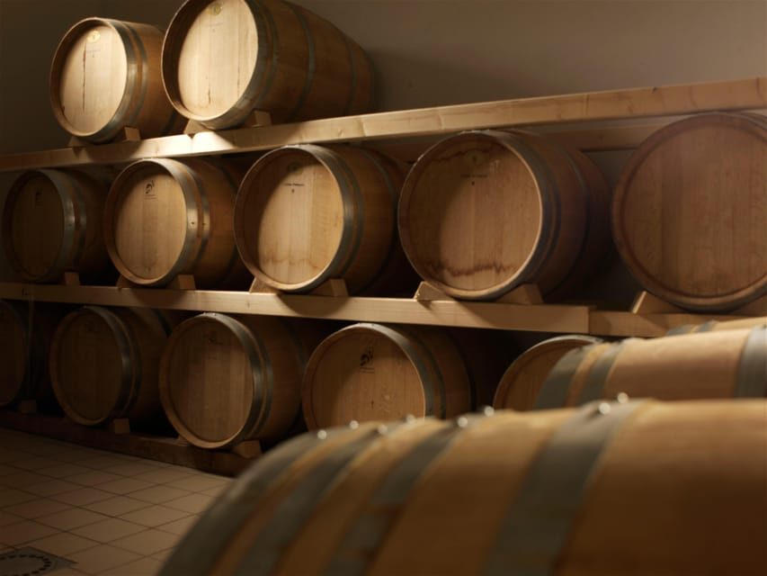 Euganean Hills: Tasting of the Most Significant Wines and Vineyard Tour - The Vineyard Tour Experience