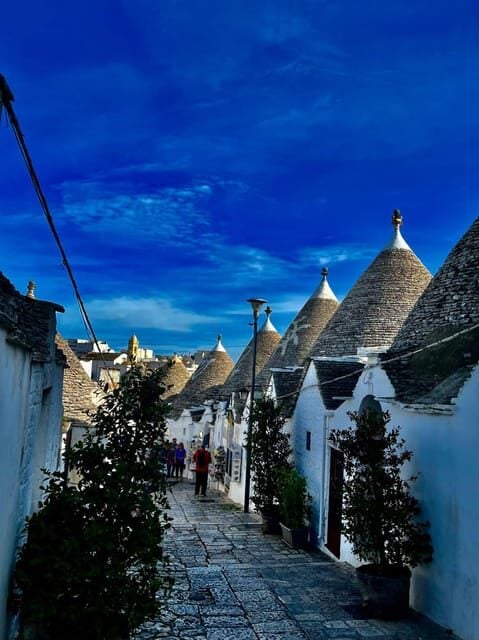 Expert Guided Tour & Tasting, Alberobello - Booking Information