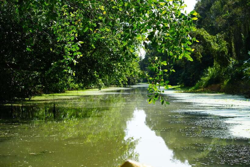 Explore Lung Ngoc Hoang in Hau Giang - Itinerary Details
