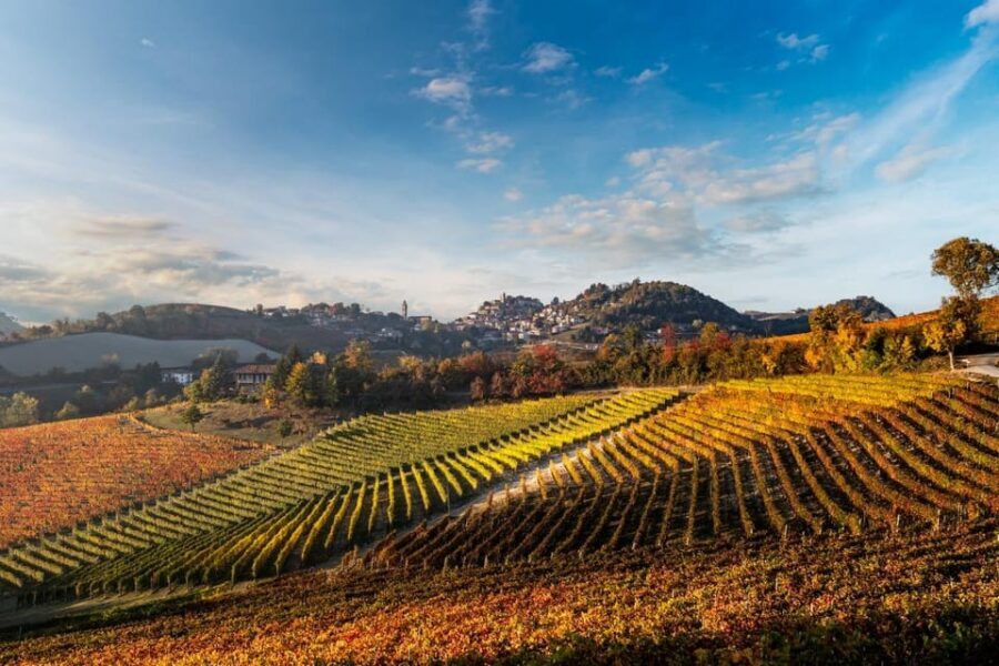 Explore & Savor: Dynamic Wine Tasting at Cantina Moscone - A Journey Through Winemaking History