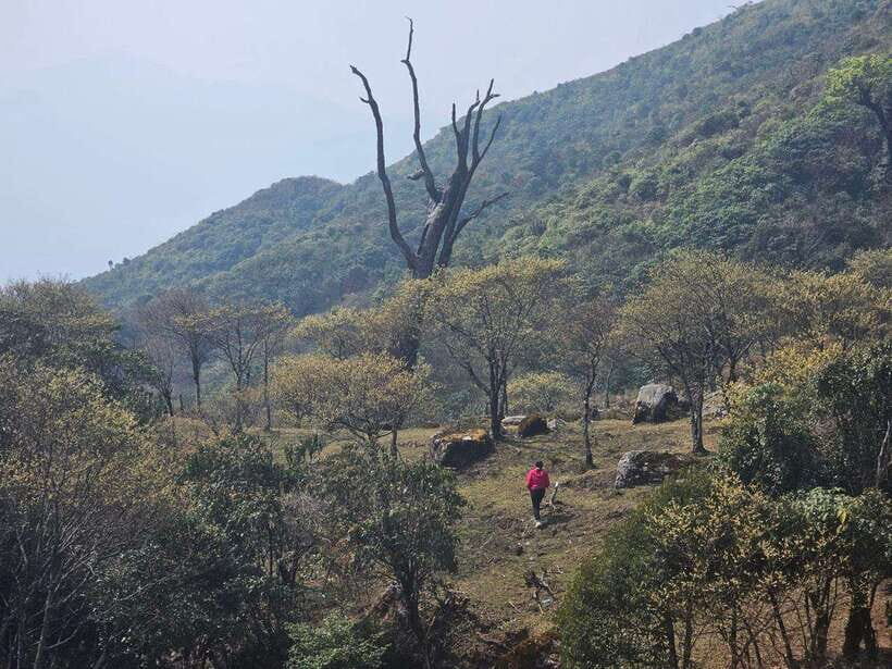 Exploring Ky Quan San: A Trekkers Paradise - Natural Wonders of Ky Quan San