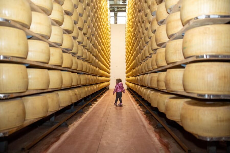 Formigine: Parmesan Cheese Tour With Full Tasting - Itinerary and Experience