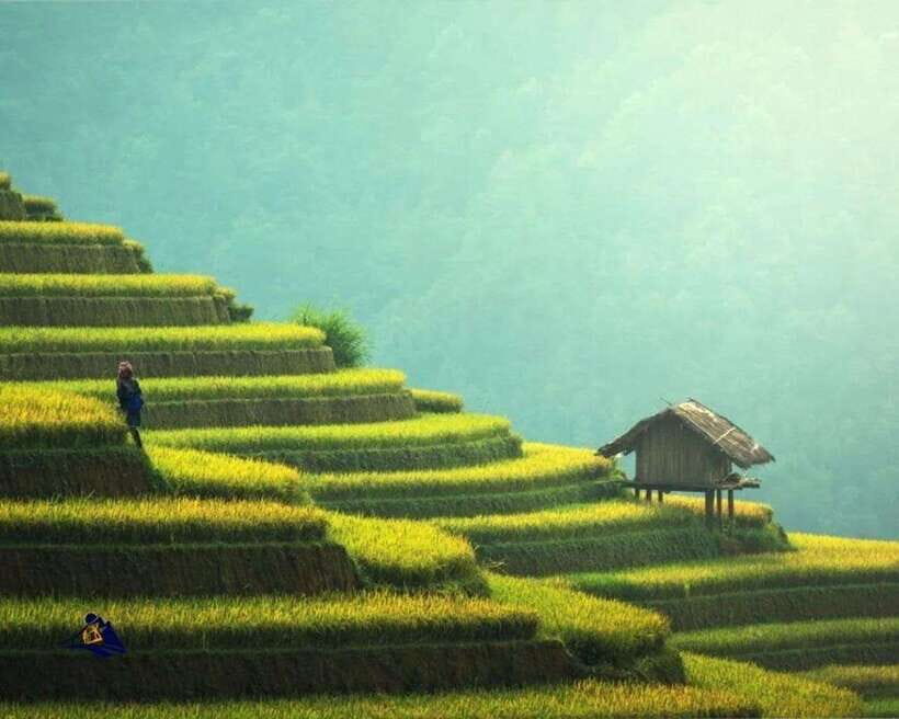 FROM HA NOI: EXPLORE PU LUONG DAY TRIP - Scenic Drive From Hanoi to Pu Luong