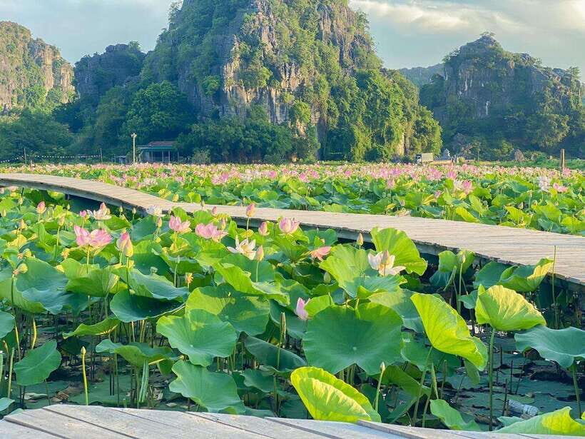 From Ha Noi: Ha Giang 4-Days Motorbike Tour Dong Van, Du Gia - Itinerary Highlights