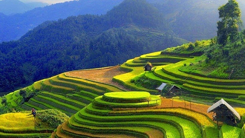 From Hanoi: 2-Day Pu Luong Nature Reserve Tour - Itinerary Highlights