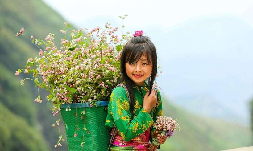 From Hanoi: 2-Day Sapa-Cat Cat-Ham Rong Mountain by Bus - Itinerary Highlights