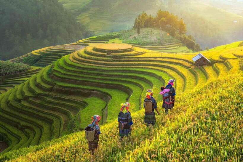 From Hanoi: 3-Day Sapa Trekking (Sleep at Hotel & Homestay) - Itinerary Highlights