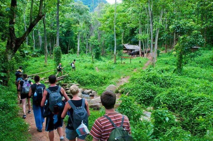 From Hanoi: Cat Ba National Park and Lan Ha Bay 2-Day Tour - Day 1: Cat Ba National Park and Trung Trang Cave