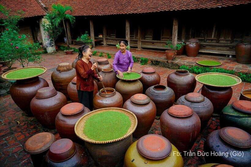 From Hanoi: Duong Lam Village Private Tour In Half Day - Cultural and Scenic Experience