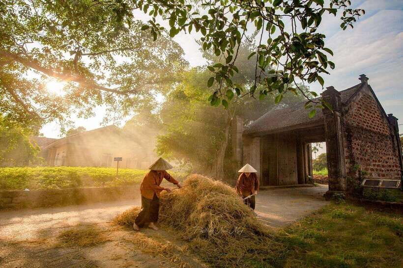 From Hanoi: Duong Lam Village Trip - Highlights and Experience
