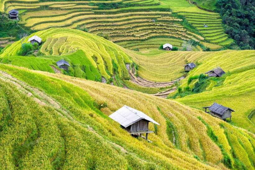From Hanoi: Mai Chau 2-Day Tour With Biking and Trekking - Itinerary Highlights