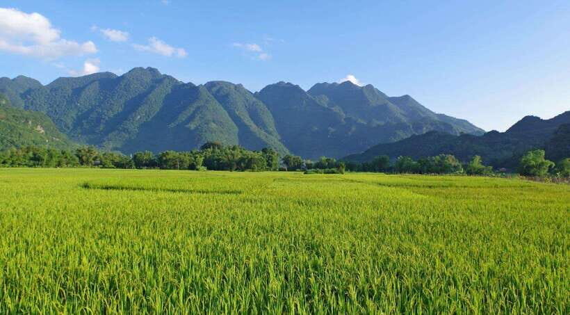From Hanoi: Mai Chau and Pu Luong Nature Reserve 2-Day Tour - Itinerary: Day 1 - Hanoi to Mai Chau Valley