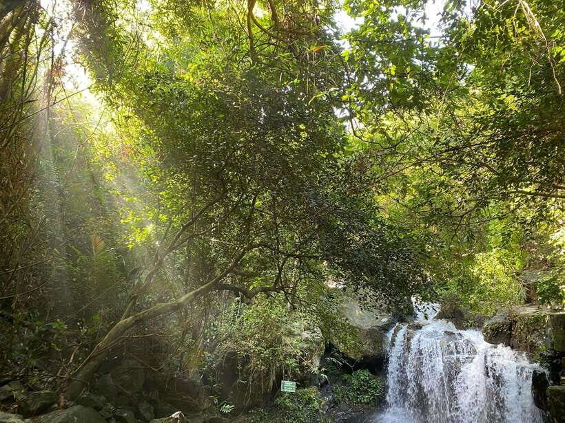 From Hue: Botanic Garden, Paradise Cave, and Dark Cave Tour - Highlights of the Itinerary